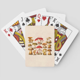 Vintage 1800er Pilzsorten Rote Pilze Spielkarten