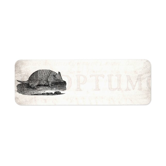 Vintage 1800er Retro Armadillo Antique Armadillos (Vorne)