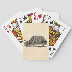 Vintage 1800er Retro Gürteltier Antik Gürteltiere Spielkarten