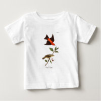 Vintage 1800er Scharlachtanager-Vogel Singvogel Vö