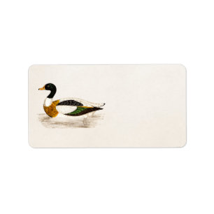 Vintage 1800s alte Drake-Enten-Illustration - Adressaufkleber