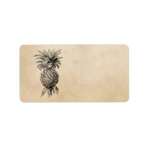Vintage 1800s Ananas-Illustrations-Ananas Adressaufkleber