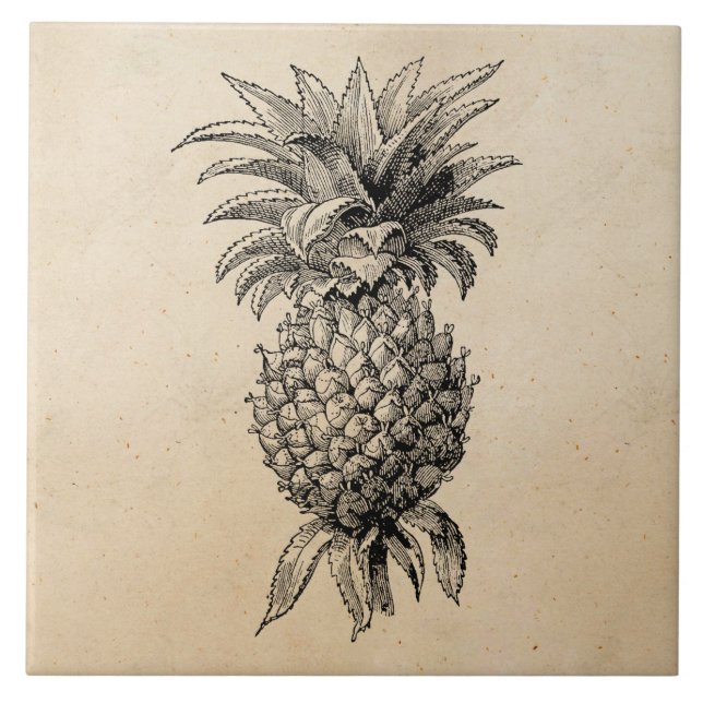 Vintage 1800s Ananas-Illustrations-Ananas Fliese (Vorderseite)