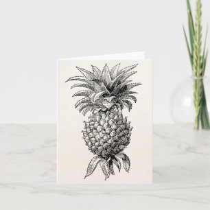 Vintage 1800s Ananas-Illustrations-Ananas Karte