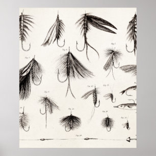 Vintage 1800s Angling Fly Fishing Flies Lures Lure Poster