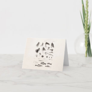 Vintage 1800s Angling Fly Fishing Flies Old Hooks Karte