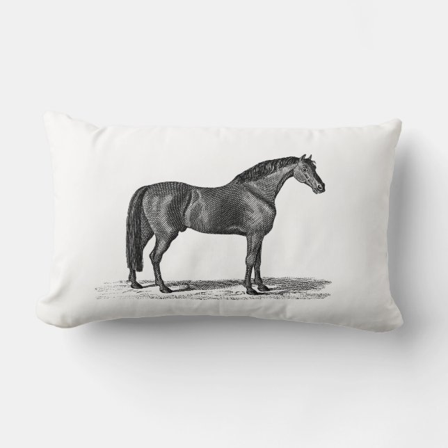 Vintage 1800s arabische Pferdeillustration - Lendenkissen (Vorderseite)