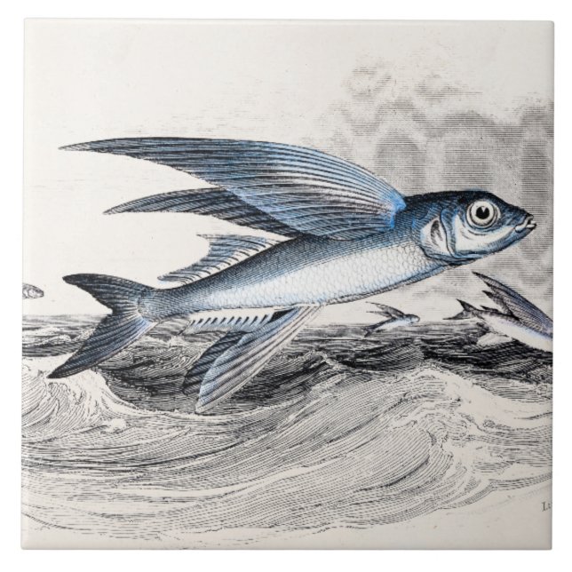 Vintage 1800s blaue Fliegen-Fische in den Fliese (Vorderseite)