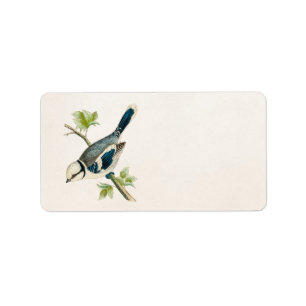 Vintage 1800s blaues adressaufkleber