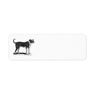 Vintage 1800s Bulldoggen-Hundeillustration - Hunde