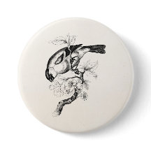 Vintage 1800s Bullfinch-Vogel-Illustration - Vögel