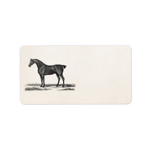 Vintage 1800s englische Jäger-Pferdejagd-Pferde Adressaufkleber
