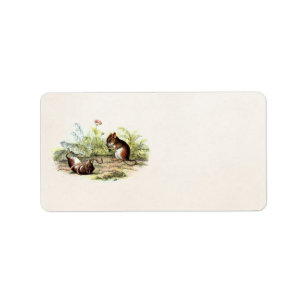 Vintage 1800s Ernte-Mäuseillustrations-Mäuse Adressaufkleber