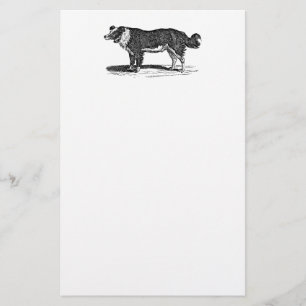 Vintage 1800s Grenzcollie-Hundeillustration Briefpapier