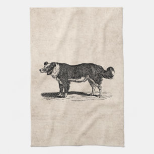 Vintage 1800s Grenzcollie-Hundeillustration Handtuch