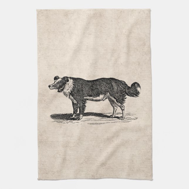 Vintage 1800s Grenzcollie-Hundeillustration Handtuch (Vertikal)