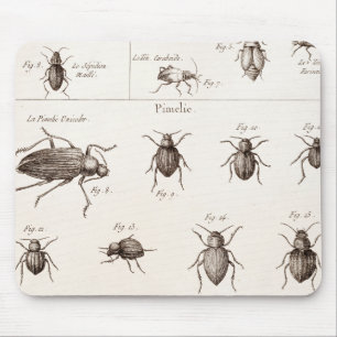 Vintage 1800s Insekten-Wanzen-Käfer-Illustration Mousepad