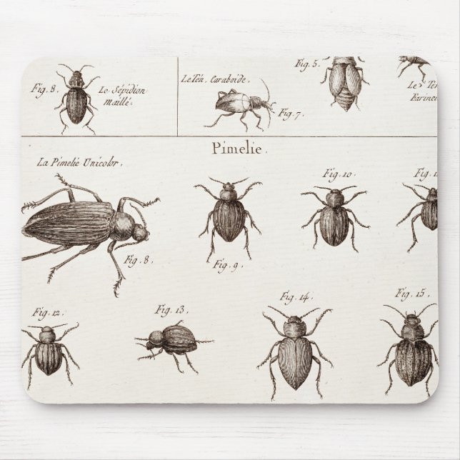 Vintage 1800s Insekten-Wanzen-Käfer-Illustration Mousepad (Vorne)