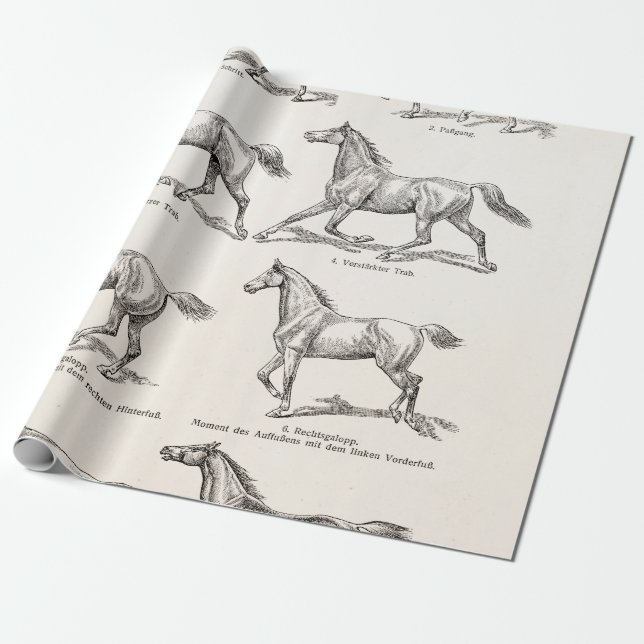 Vintage 1800s Pferdegangart-Illustrations-Pferde Geschenkpapier (Ungerollt)