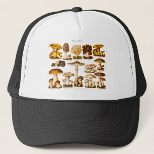Vintage 1800s Pilz-Vielzahl-Pilz-Schablone Truckerkappe