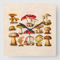 Vintage 1800s Pilz-Vielzahl-Rot-Pilze