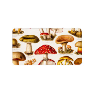 Vintage 1800s Pilz-Vielzahl-Schablone Adressaufkleber