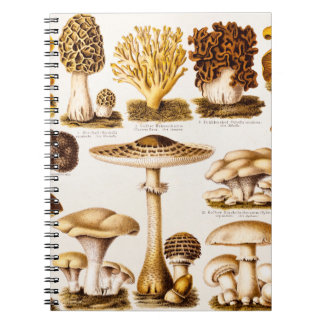Vintage 1800s Pilz-Vielzahl-Schablone Notizblock
