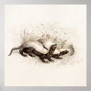 Vintage 1800s poster