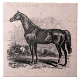 Vintage 1800s Rennen-PferdeRetro Fliese