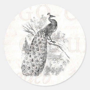 Vintage 1800s Retro Pfau-Illustrations-Schablone Runder Aufkleber