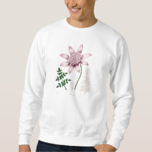 Vintage 1800s rosa Dahlie-Blumen-Dahlien mit Sweatshirt