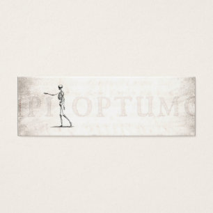 Vintage 1800s Skeleton antike Anatomie-Skelette