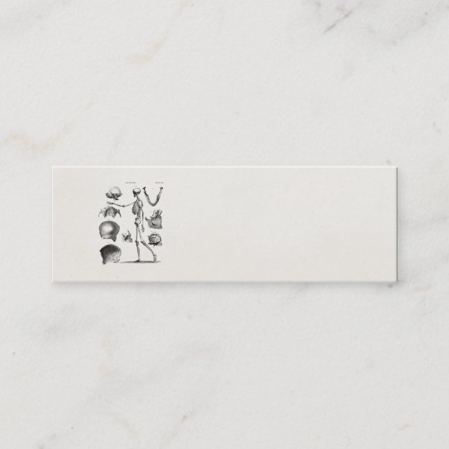 Vintage 1800s Skeleton antike Anatomie-Skelette Mini Visitenkarte (Vorderseite)