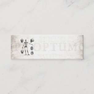 Vintage 1800s Skeleton antike Anatomie-Skelette Mini Visitenkarte