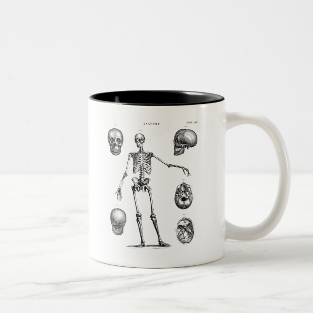 Vintage 1800s Skeleton antike Anatomie-Skelette Zweifarbige Tasse (Rechts)