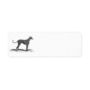 Vintage 1800s Windhund-Hundeillustration - Hunde