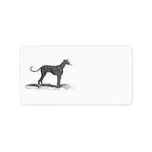 Vintage 1800s Windhund-Hundeillustration - Hunde Adressaufkleber