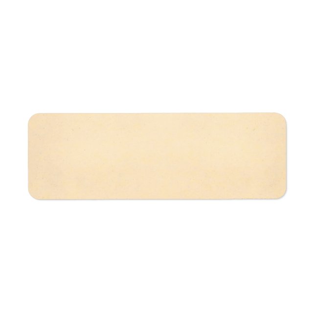 Vintage 1817 Pergamentpapier Vorlage Blanko (Vorne)
