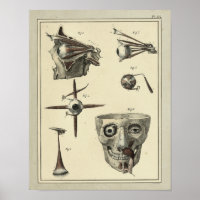 Vintage 1831 Anatomie-Druck der Augenmuskeln