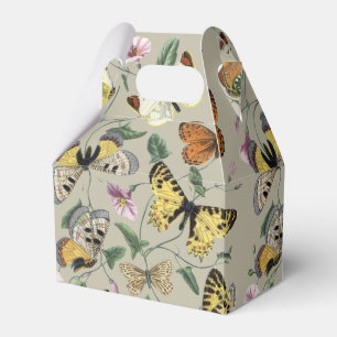 Vintage 1842 Schmetterling Motte Botanische Blumen Geschenkschachtel