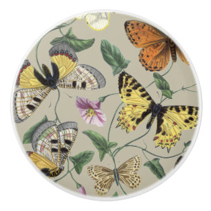 Vintage 1842 Schmetterling Nachtfalter Botanische Keramikknauf
