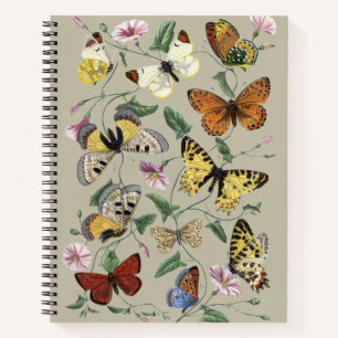 Vintage 1842 Schmetterling Nachtfalter Botanische Notizbuch