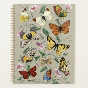 Vintage 1842 Schmetterling Nachtfalter Botanische  Planer