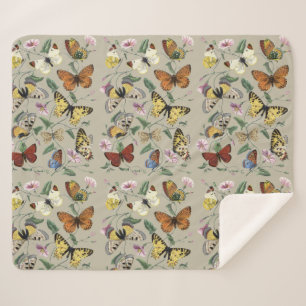 Vintage 1842 Schmetterling Nachtfalter Botanische  Sherpadecke
