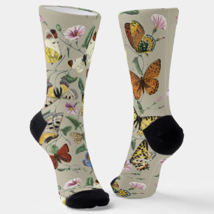 Vintage 1842 Schmetterlings-Motte Botanische Blume Socken