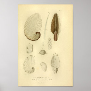 Vintage 1845-Druckfarben-Druckfarben-Druckschrift  Poster