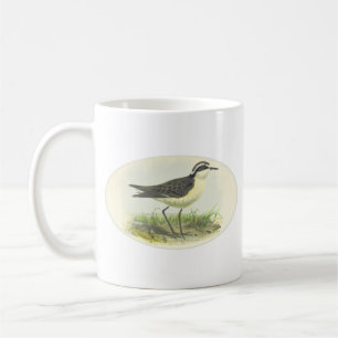 Vintage 1875 Vogelzeichnung von St. Helena Tasse