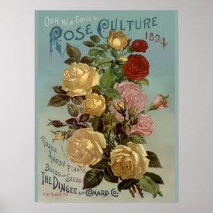 Vintage 1894 Anleitung zur Rosenzucht Poster