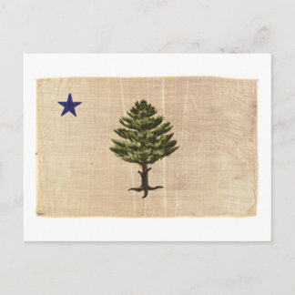 Vintage 1901 Maine-Flagge Postkarte