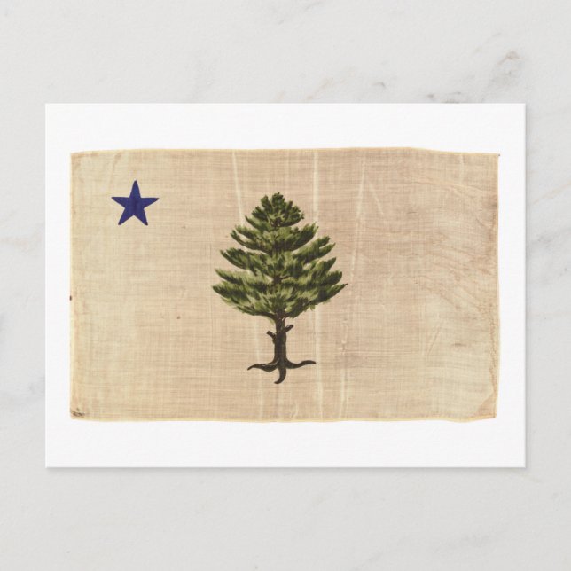 Vintage 1901 Maine-Flagge Postkarte (Vorderseite)